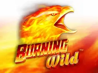 Burning Wild