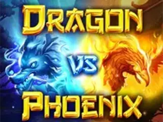 Dragon Vs Phoenix