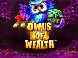 Owls Of Wealth výherný automat
