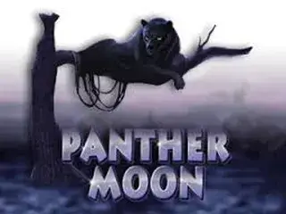 Panther Moon