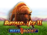 Buffalo Blitz II