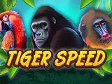 Tiger Speed